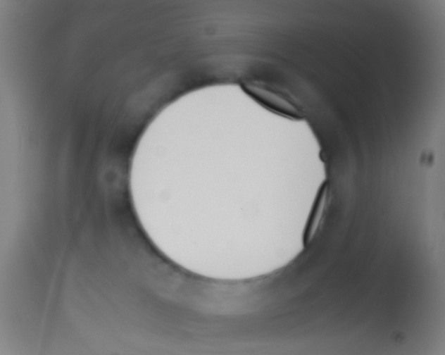 X0000113170037200910161318