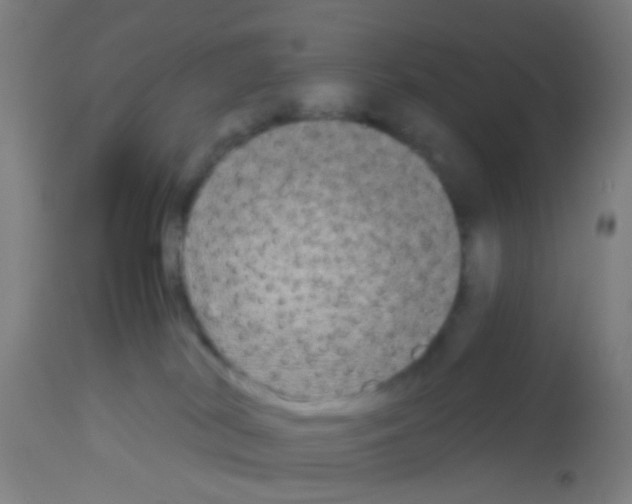 X0000113170038200910161318
