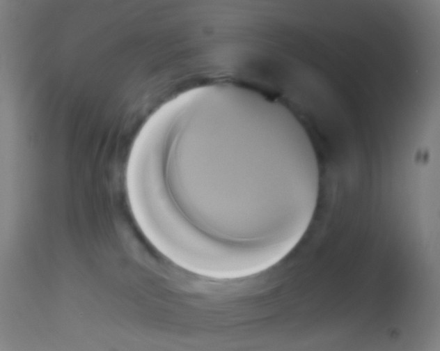 X0000113170039200910161318