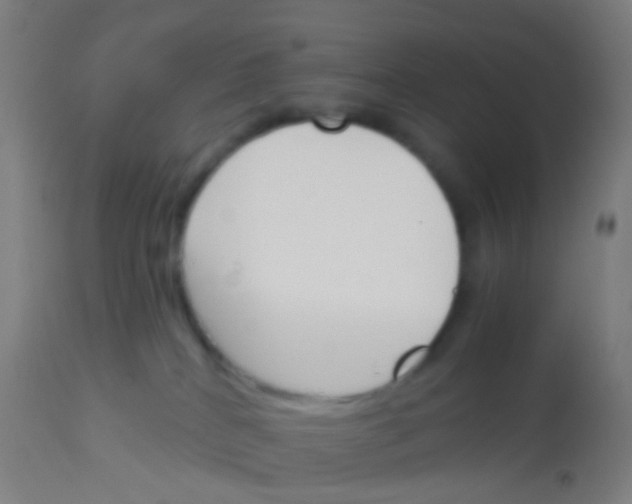 X0000113170040200910161318