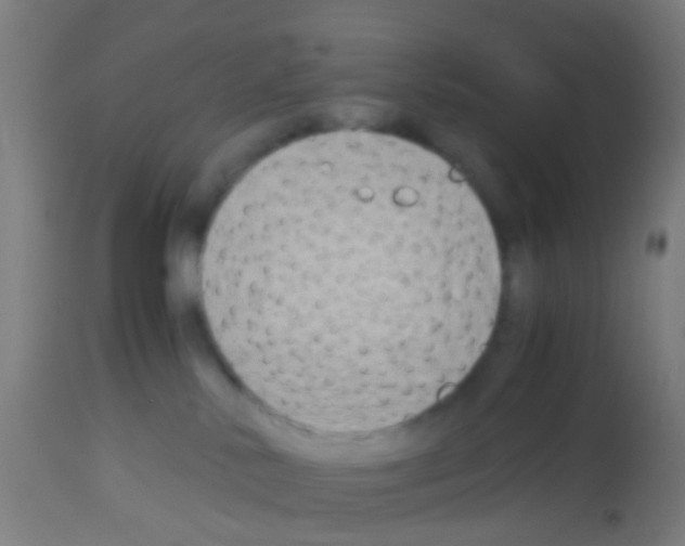 X0000113170042200910161318
