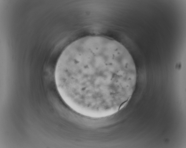 X0000113170043200910161318