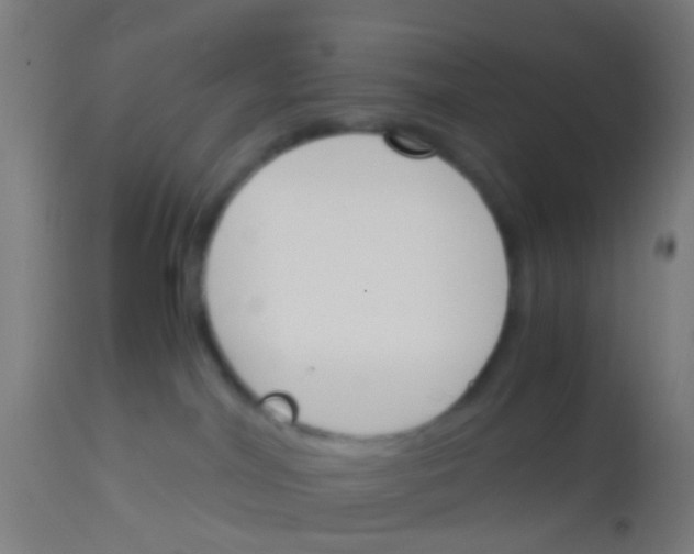 X0000113170044200910161318