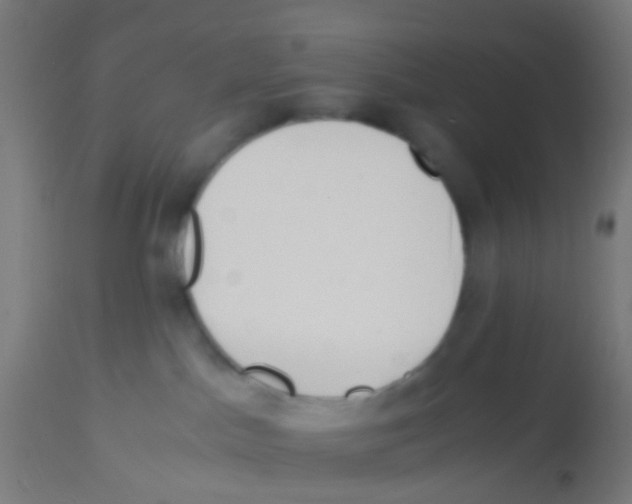 X0000113170045200910161318