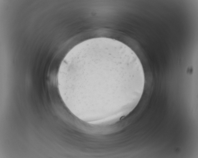 X0000113170046200910161318