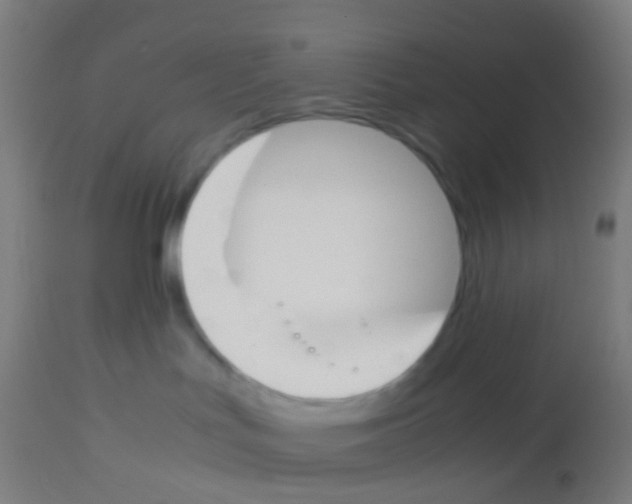 X0000113170047200910161318