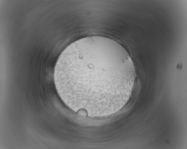 X0000113170048200910161318