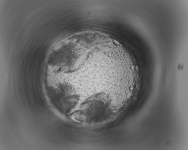 X0000113170049200910161317