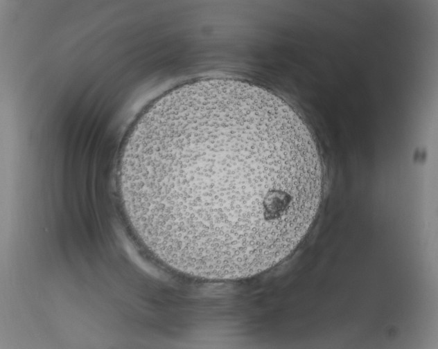 X0000113170050200910161317