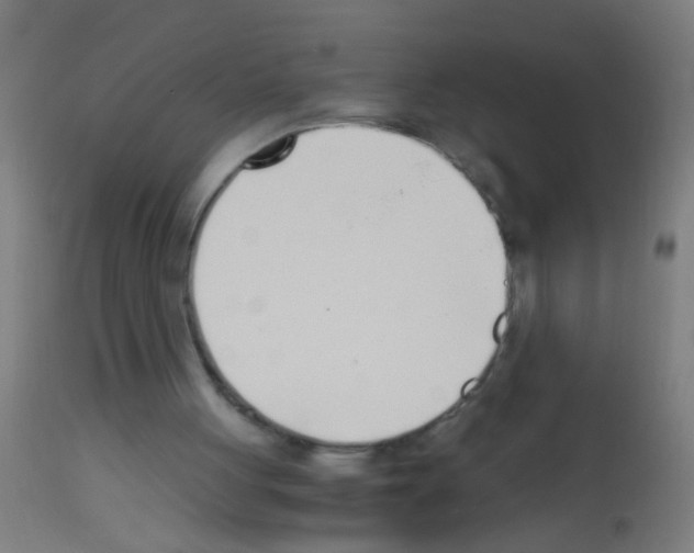 X0000113170051200910161317