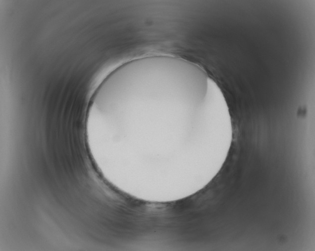 X0000113170052200910161317