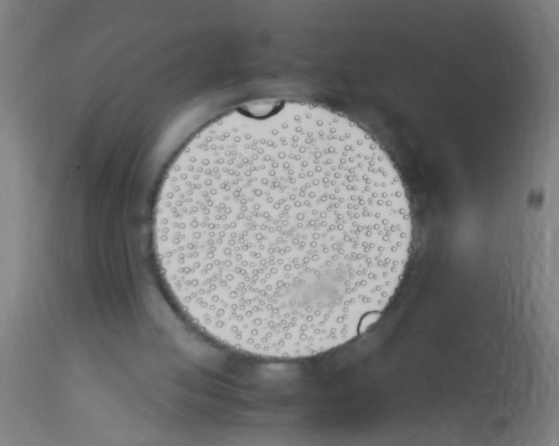 X0000113170053200910161317