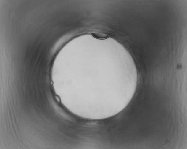 X0000113170054200910161317