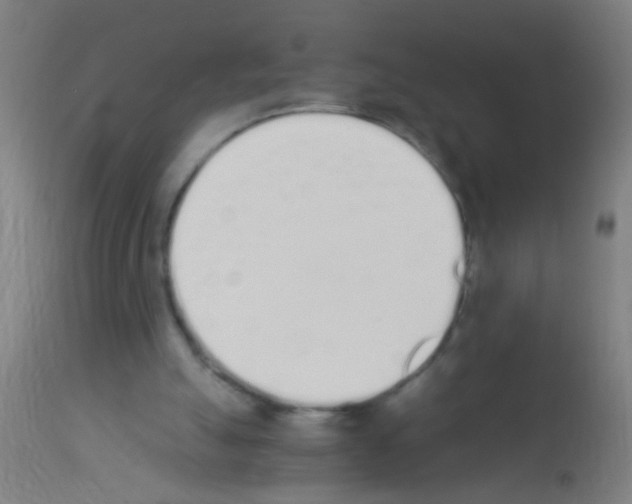 X0000113170055200910161317