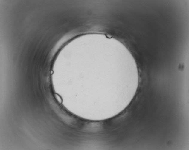 X0000113170056200910161317