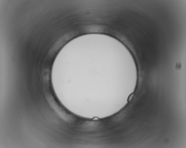 X0000113170057200910161317