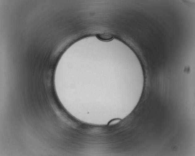 X0000113170058200910161318