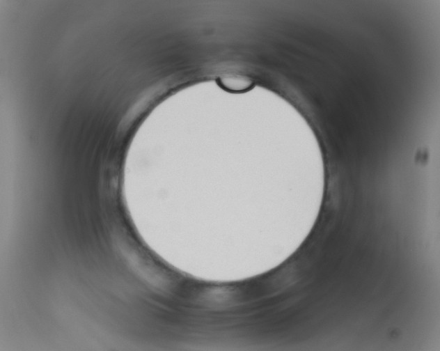 X0000113170059200910161318