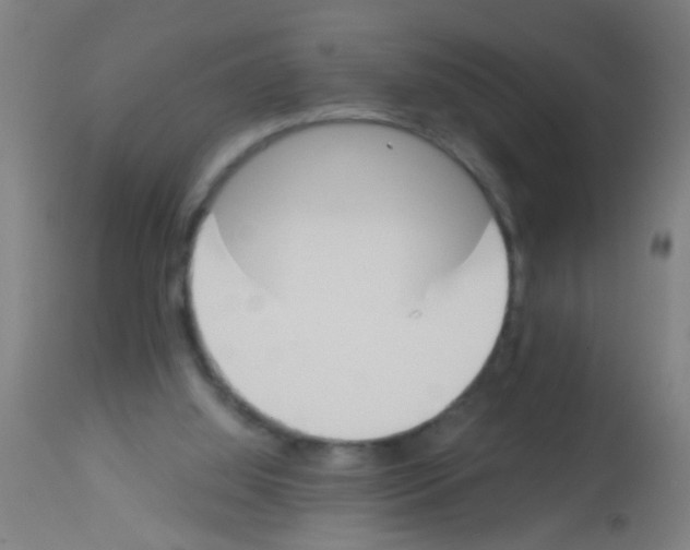 X0000113170060200910161318