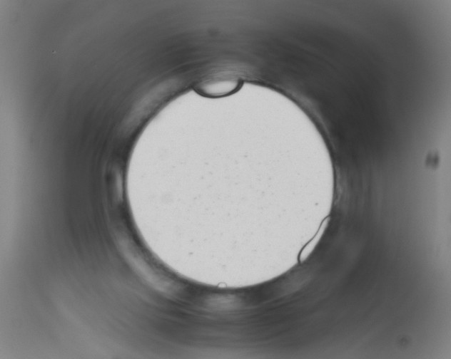X0000113170061200910161318