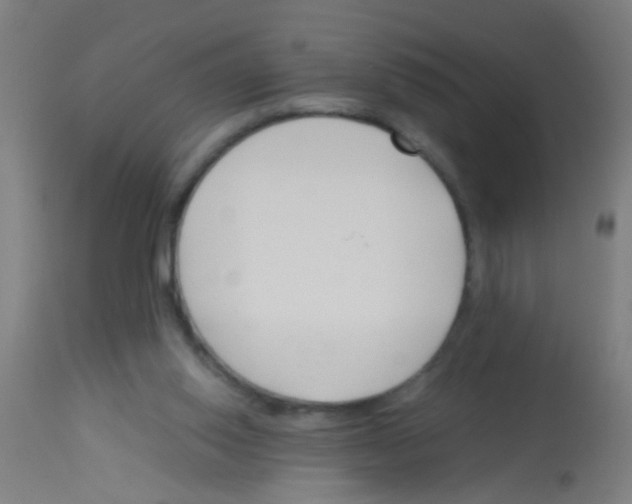X0000113170062200910161318