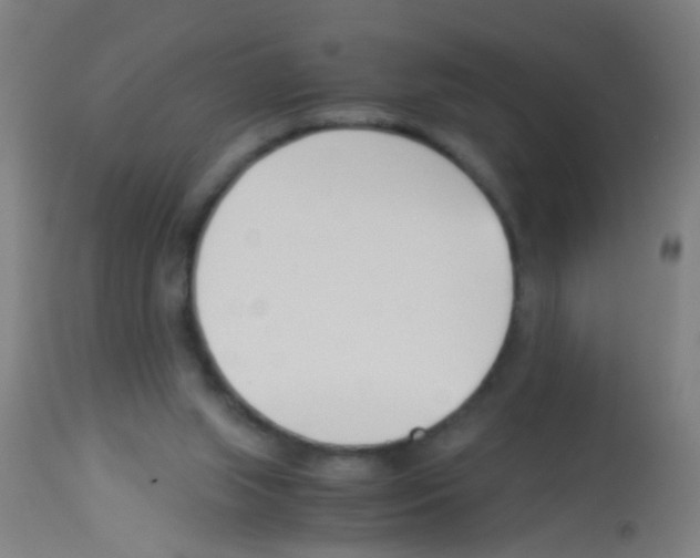 X0000113170063200910161318