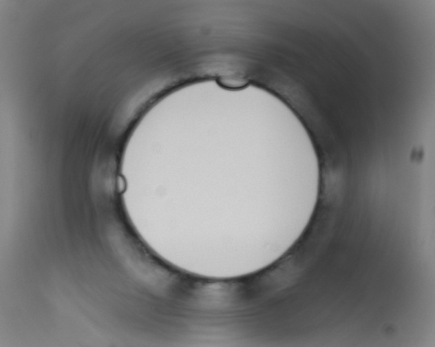 X0000113170064200910161318