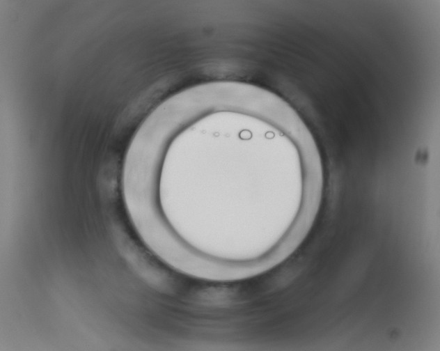 X0000113170065200910161318