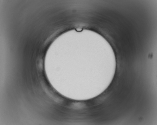 X0000113170067200910161318