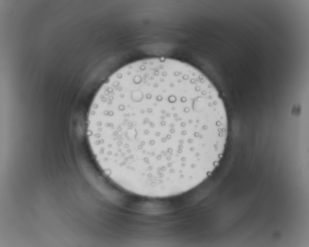 X0000113170069200910161318