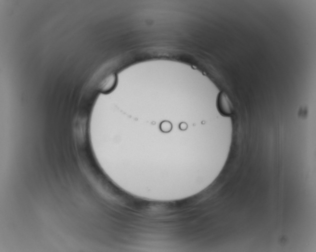 X0000113170070200910161318