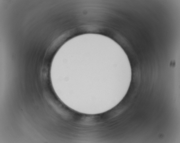 X0000113170072200910161318