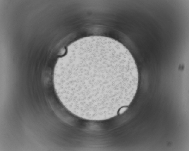 X0000113170073200910161318