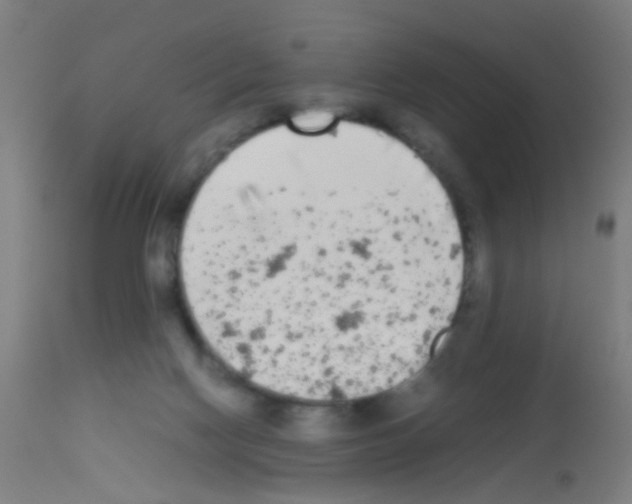 X0000113170074200910161318