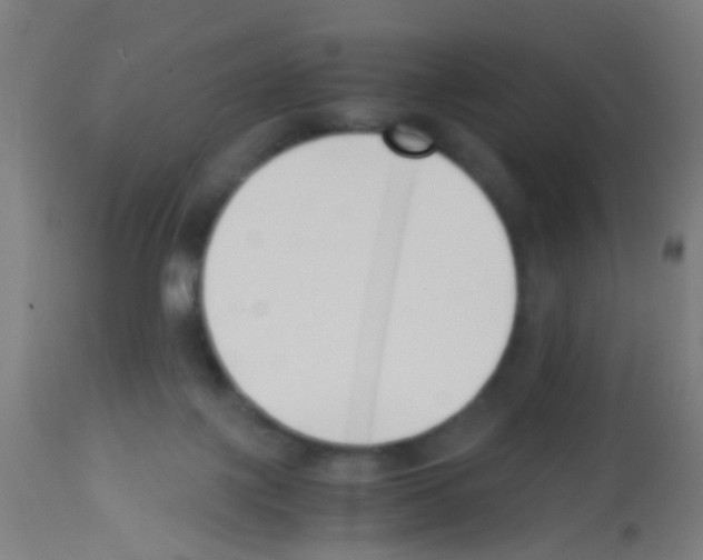 X0000113170075200910161318