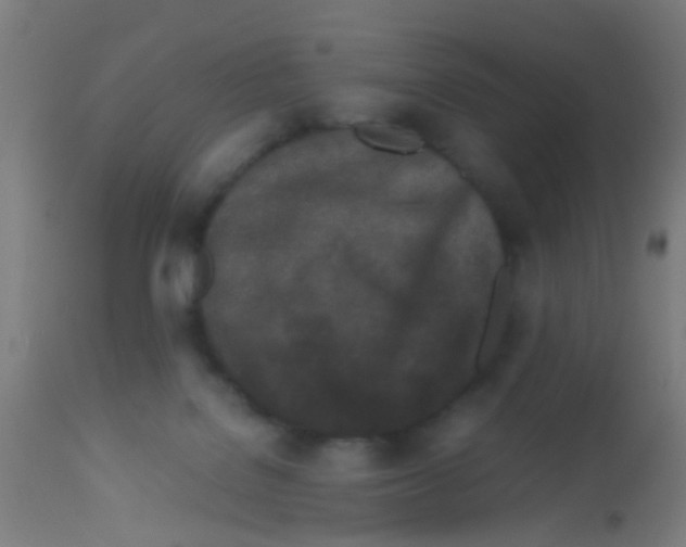 X0000113170076200910161318