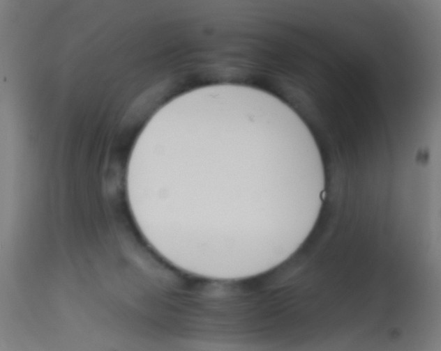 X0000113170077200910161318