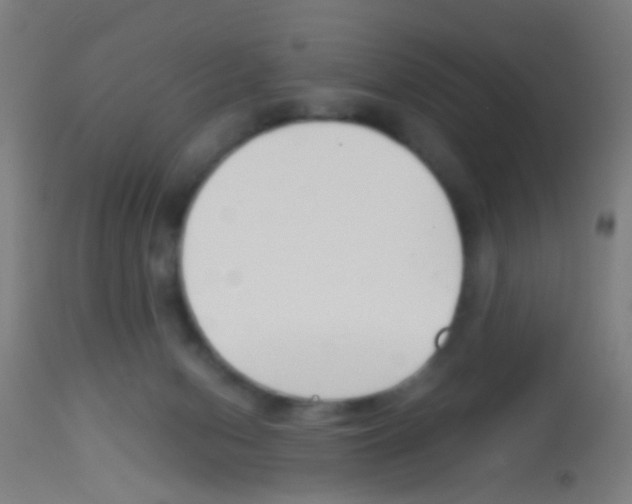 X0000113170078200910161318