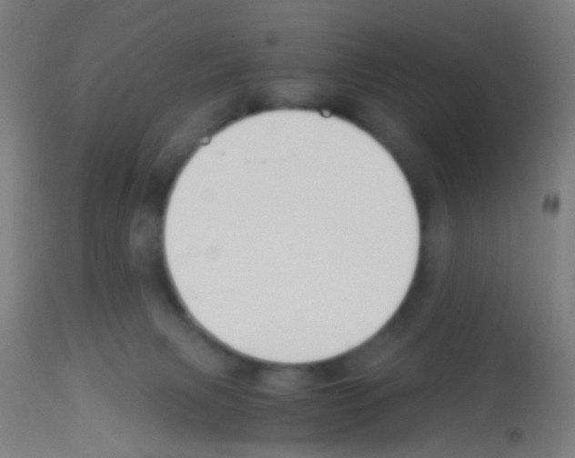 X0000113170079200910161318
