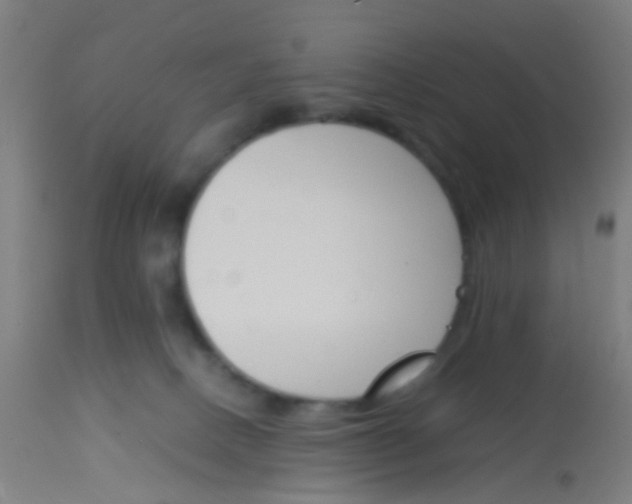 X0000113170082200910161318