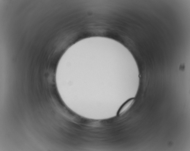 X0000113170083200910161318