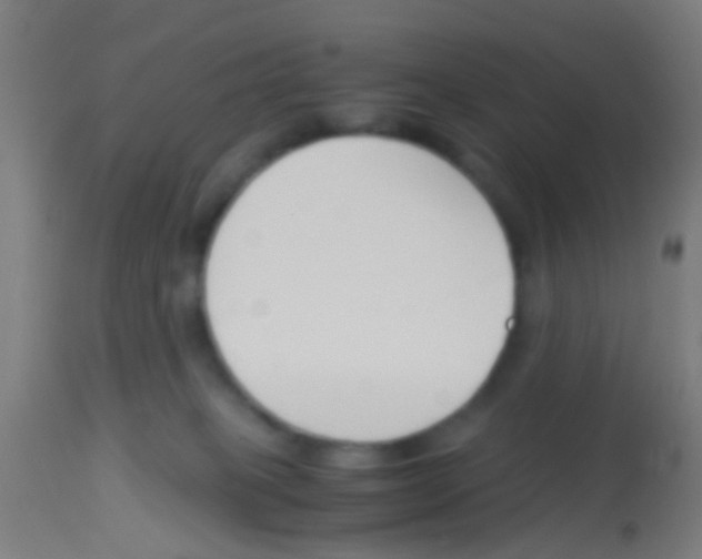 X0000113170085200910161318