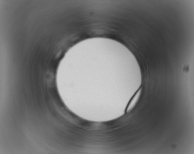 X0000113170087200910161318