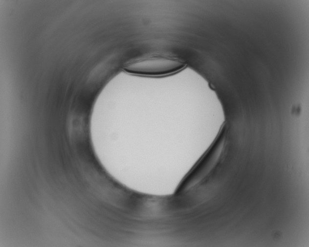 X0000113170088200910161318