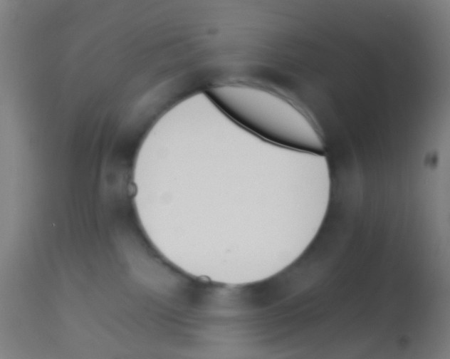 X0000113170092200910161318