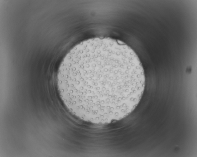 X0000113170093200910161318