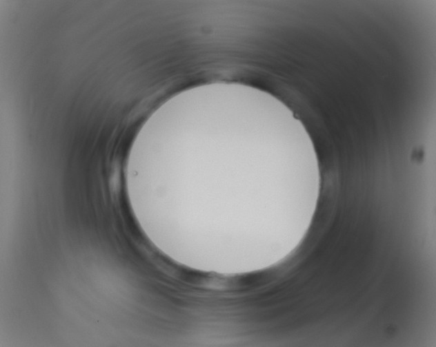 X0000113170094200910161318