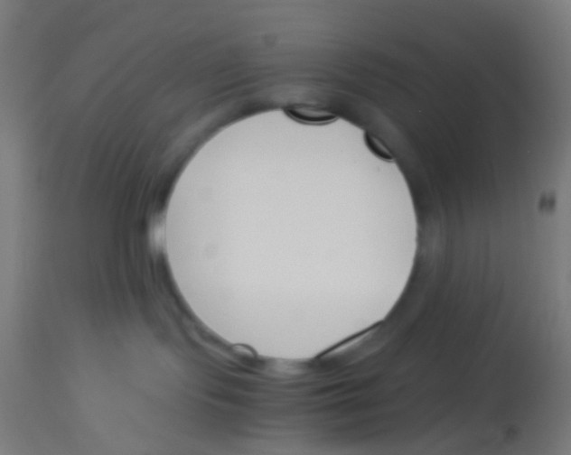 X0000113170095200910161318