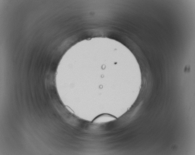 X0000113170096200910161318