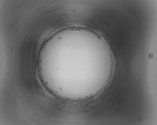 X0000113170097200910161317